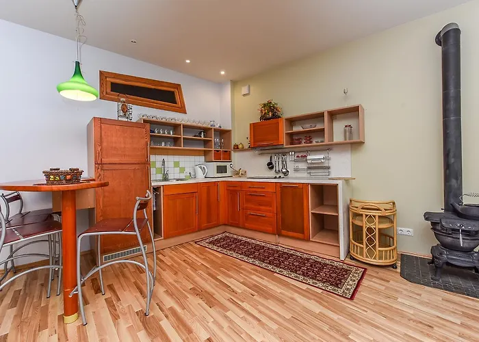 Lägenhetshotell Vanagas